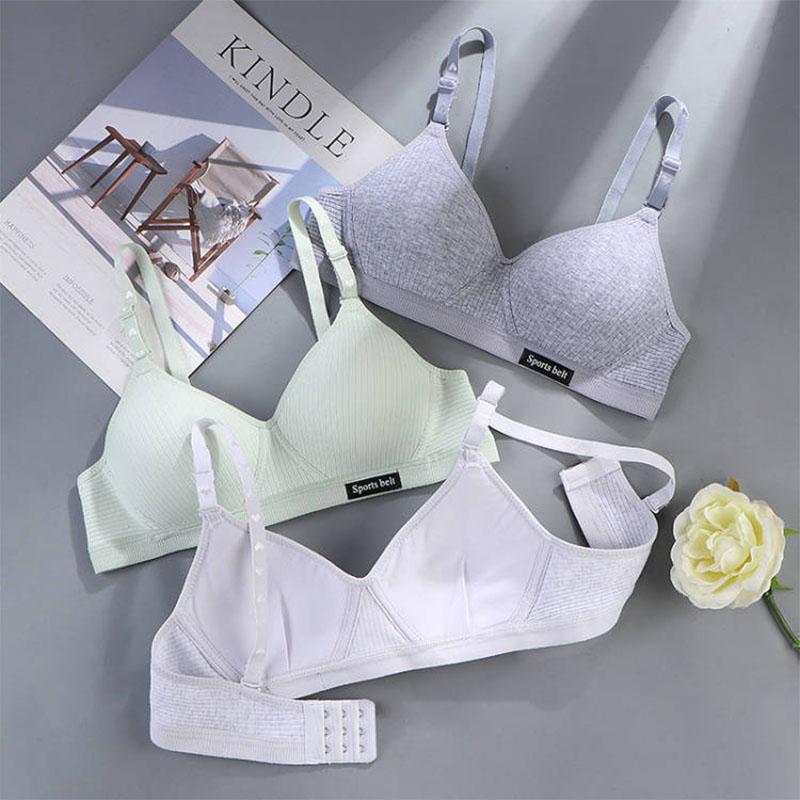 Bra Nirkabel Tipis Wanita 3 Bu - Mastectomy Bra Pocket ulasan dan harga